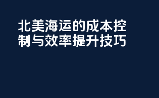 北美海运的成本控制与效率提升技巧