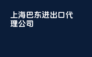 上海巴东进出口代理公司