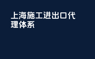 上海施工进出口代理体系