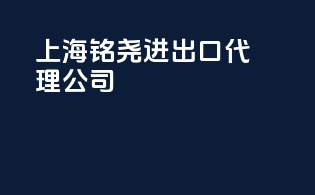 上海铭尧进出口代理公司