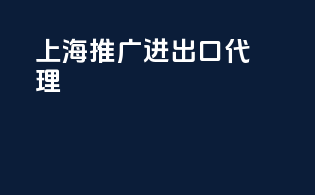 上海推广进出口代理