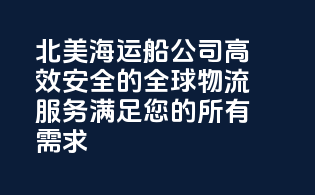 北美海运船公司：高效安全的全球物流服务，满足您的所有需求