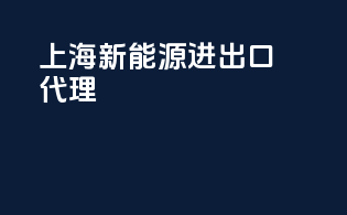 上海新能源进出口代理