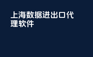 上海数据进出口代理软件