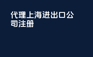 代理上海进出口公司注册