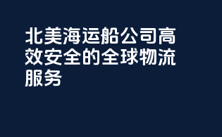 北美海运船公司：高效安全的全球物流服务