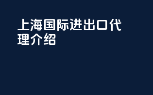 上海国际进出口代理介绍