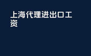 上海代理进出口工资