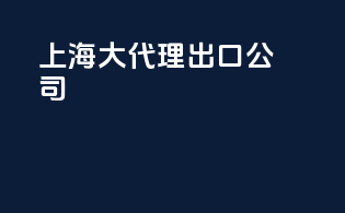 上海大代理出口公司