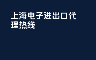 上海电子进出口代理热线