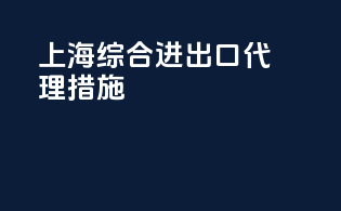 上海综合进出口代理措施