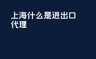上海什么是进出口代理
