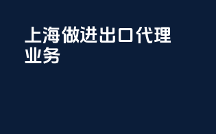 上海做进出口代理业务
