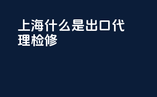 上海什么是出口代理检修