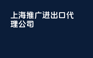 上海推广进出口代理公司