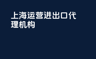 上海运营进出口代理机构
