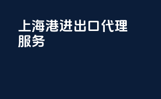 上海港进出口代理服务