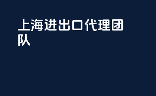 上海进出口代理团队