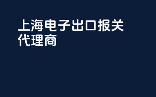上海电子出口报关代理商