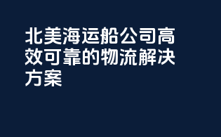 北美海运船公司：高效可靠的物流解决方案