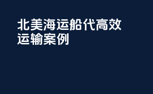 北美海运船代高效运输案例