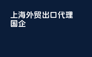 上海外贸出口代理国企