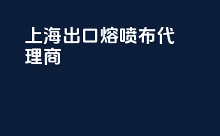 上海出口熔喷布代理商