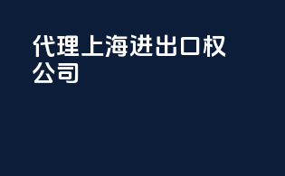 代理上海进出口权公司