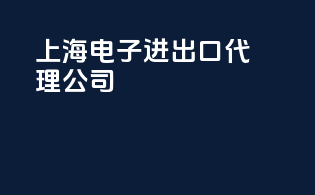 上海电子进出口代理公司