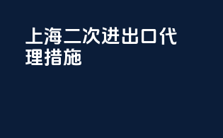 上海二次进出口代理措施