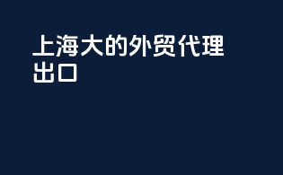 上海大的外贸代理出口