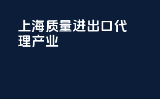 上海质量进出口代理产业