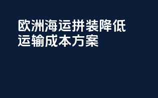 欧洲海运拼装，降低运输成本方案