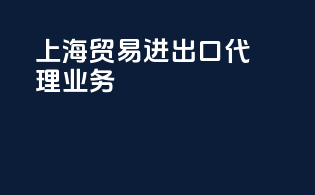 上海贸易进出口代理业务