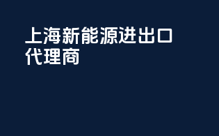 上海新能源进出口代理商
