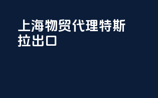 上海物贸代理特斯拉出口