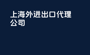 上海外进出口代理公司