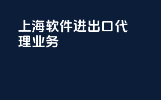 上海软件进出口代理业务