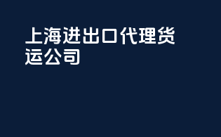 上海进出口代理货运公司