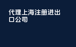 代理上海注册进出口公司