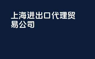 上海进出口代理贸易公司