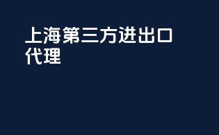上海第三方进出口代理