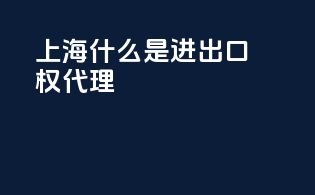 上海什么是进出口权代理