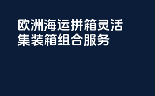 欧洲海运拼箱，灵活集装箱组合服务