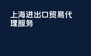 上海进出口贸易代理服务