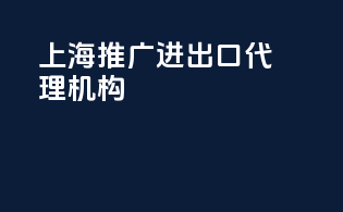 上海推广进出口代理机构