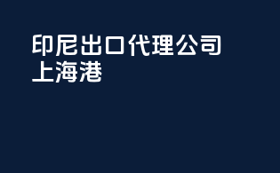 印尼出口代理公司上海港