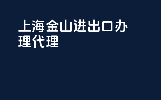 上海金山进出口办理代理