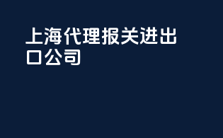 上海代理报关进出口公司