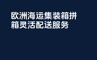 欧洲海运集装箱拼箱，灵活配送服务